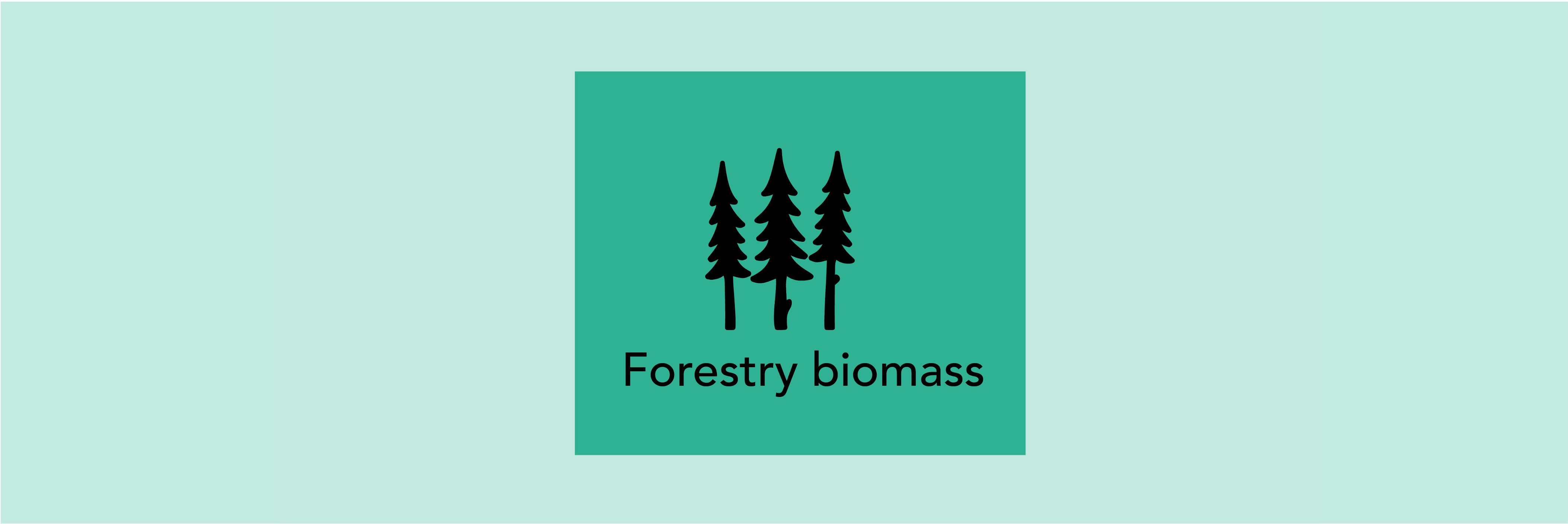Biomass from forests and wood.